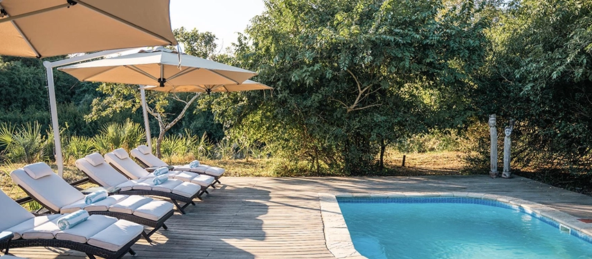 Sun loungers line a wooden pool deck beneath large umbrellas, creating a peaceful retreat surrounded by lush Gorongosa vegetation.