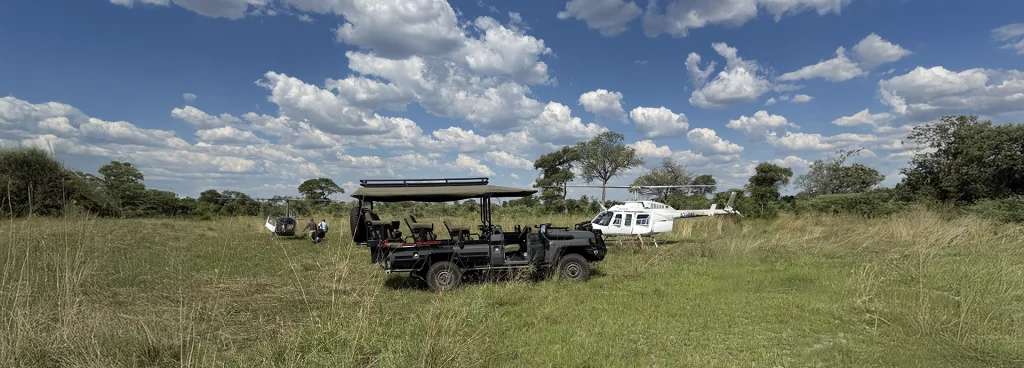 A bush dining table is set beneath leafy trees in the Okavango Delta, offering an immersive safari lunch surrounded by nature.