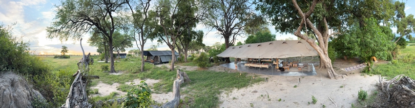 A panoramic view of a remote safari camp in Botswana, with open-sided dining tents and guest areas set beneath mature trees beside the Okavango floodplains. 