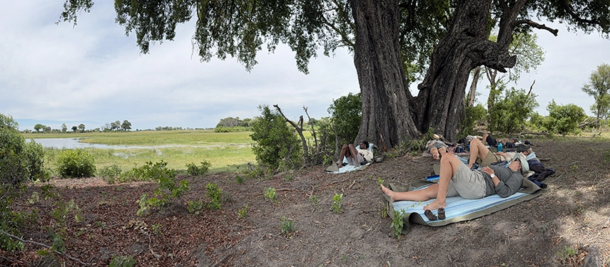 Guests rest on mats in deep shade beneath a large tree, enjoying a peaceful midday pause overlooking floodplains during a guided safari walk.
