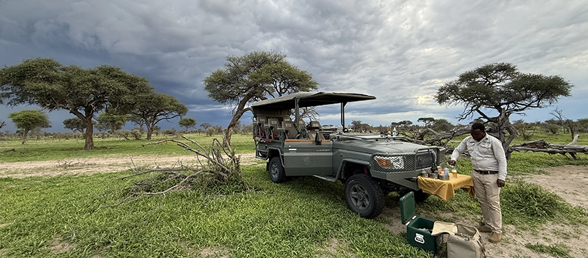 A classic safari vehicle pauses in open plains while refreshments are prepared for a bush break beneath dramatic skies and scattered acacia trees.