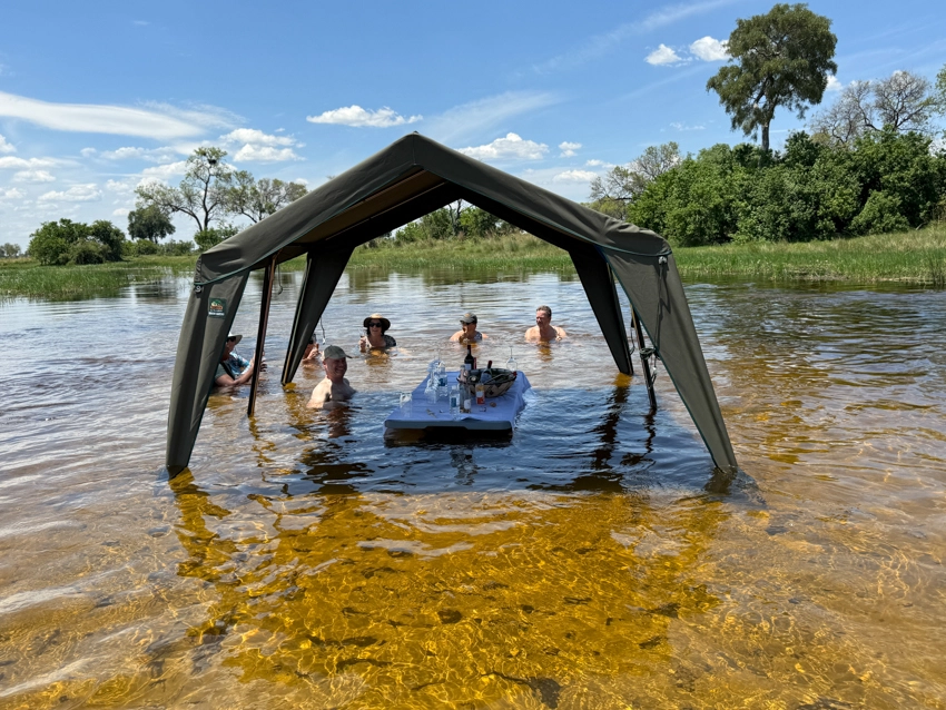 Guests relax beneath a shaded canopy in clear Okavango waters, enjoying a unique river picnic surrounded by reeds and open floodplain. 