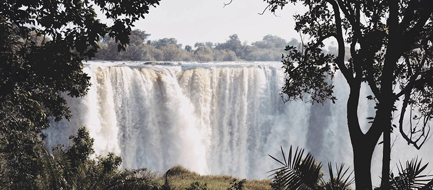 Victoria Falls thunders into the gorge, framed by rainforest foliage and rising spray on the Zambian side.