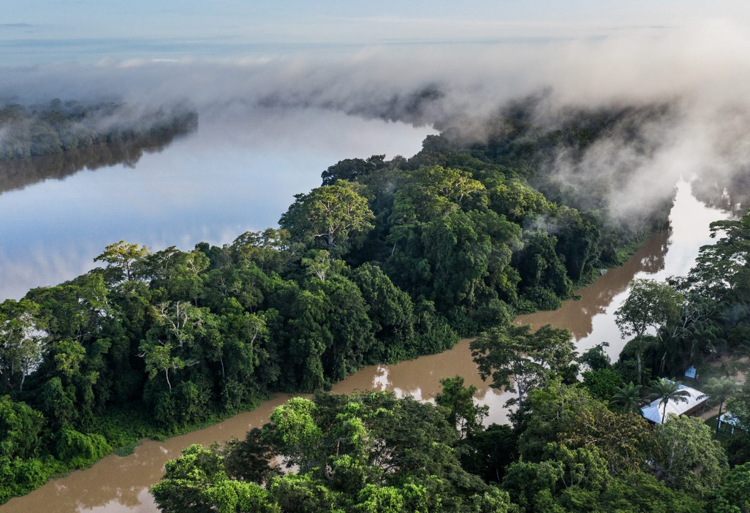 The Congo River flowing through dense rainforest