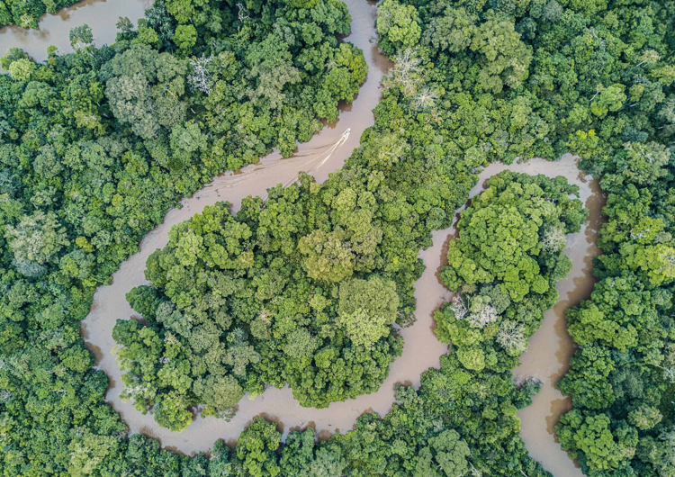 An aerial view of a tributary of the Congo River