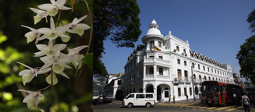 Kandy Town in Sri Lanka