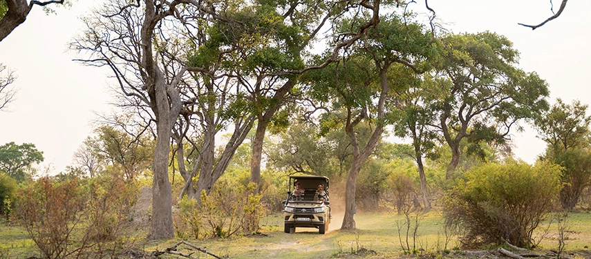 A four-wheel drive safari vehicle moves quietly through a sunlit woodland as guides scan the trees for wildlife.