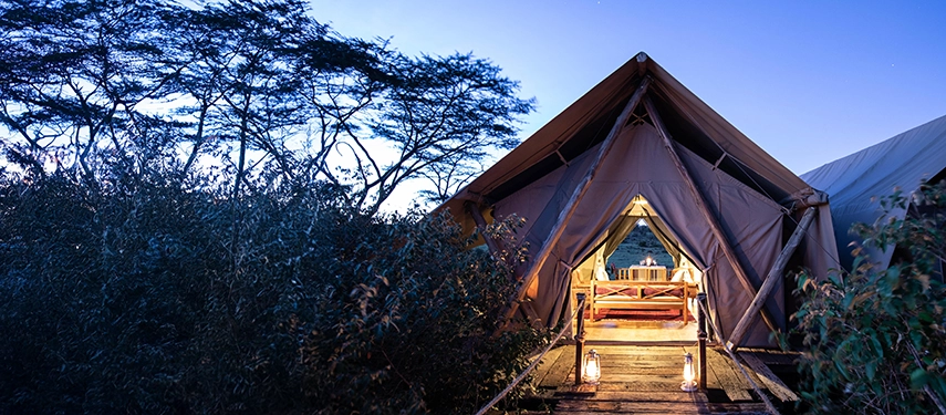 Luxury safari tent glowing warmly at dusk, surrounded by acacia trees in Kenya’s Maasai Mara.