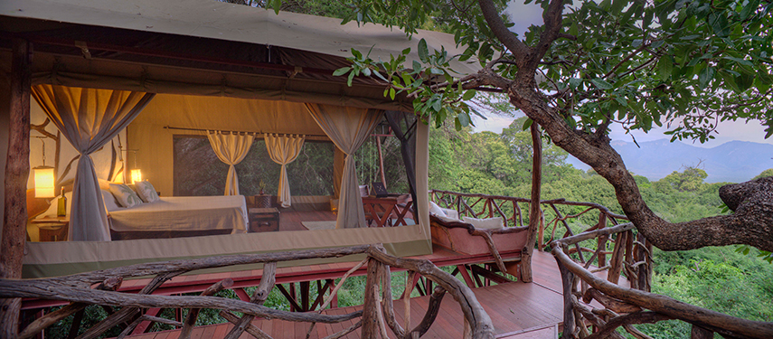 A luxury treehouse-style tented suite at Sarara Camp with a wraparound wooden deck set amid verdant forest.