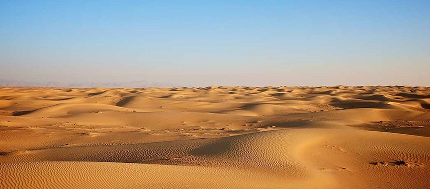 Endless golden sand dunes stretching into the distance beneath a cloudless blue sky near Desert Breeze Lodge.