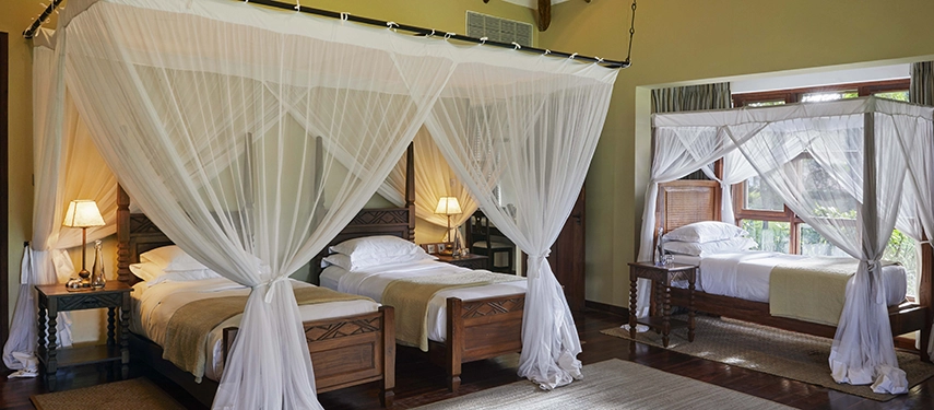 Meru family cottage interior at Legendary Lodge in Arusha with a flexible triple bed arrangement, mosquito-netted beds and a spacious, light-filled layout.