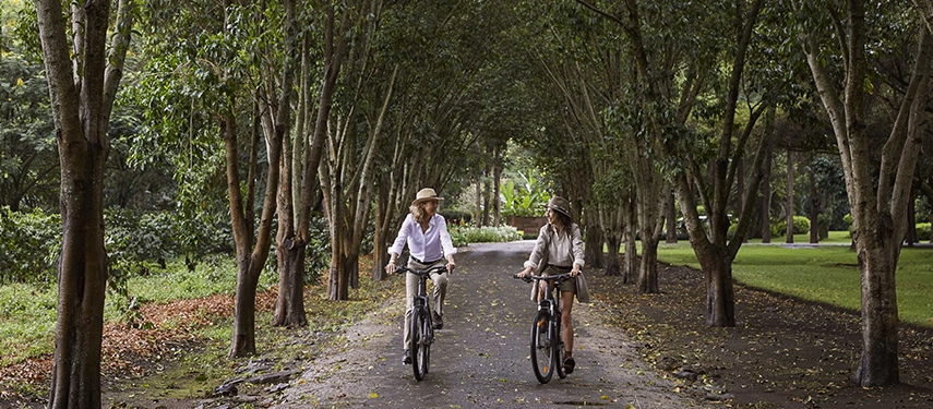 Guests cycling along shaded garden pathways at Legendary Lodge in Arusha, enjoying a relaxed outdoor experience beneath towering trees and open skies.