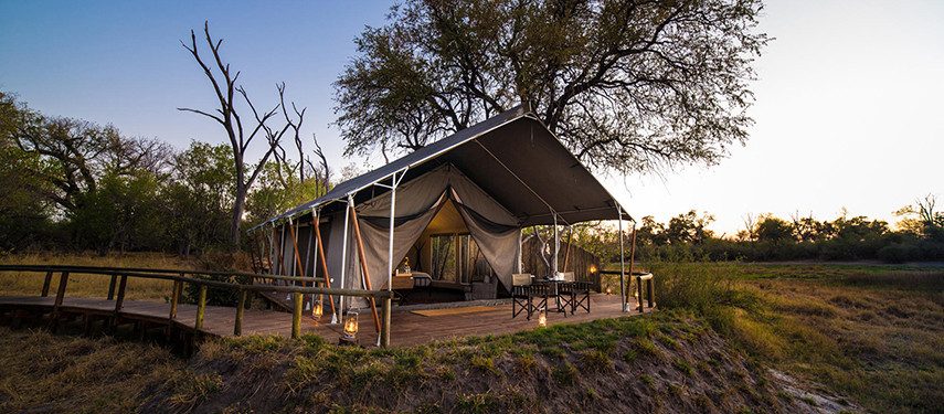 Exterior of a canvas safari tent at Little Machaba lit by lanterns at sunset, with a wraparound wooden deck.