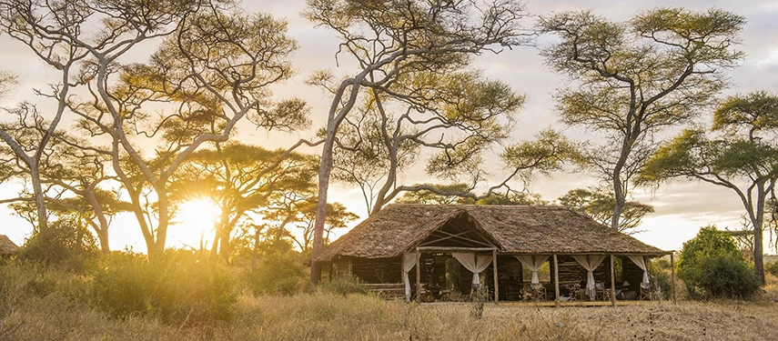 The main camp area sits beneath spreading acacia trees, its thatched roof glowing softly as the sun filters through the landscape.