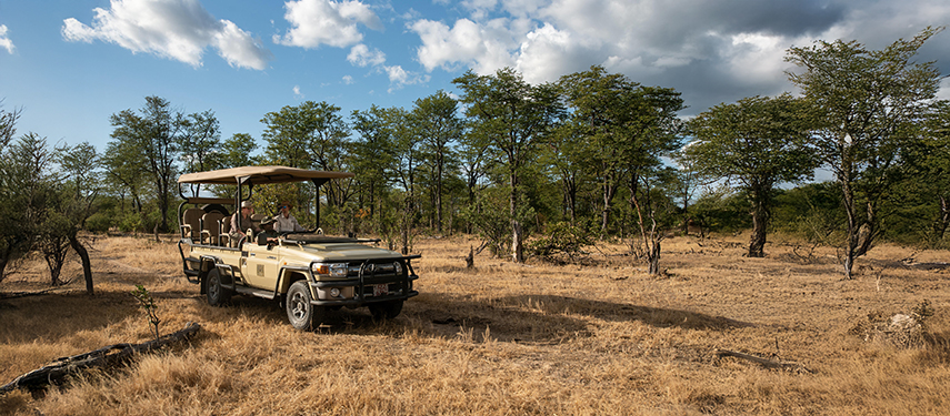 A game drive vehicle makes its way across open woodland, with guests scanning the landscape under a cloudy sky.
