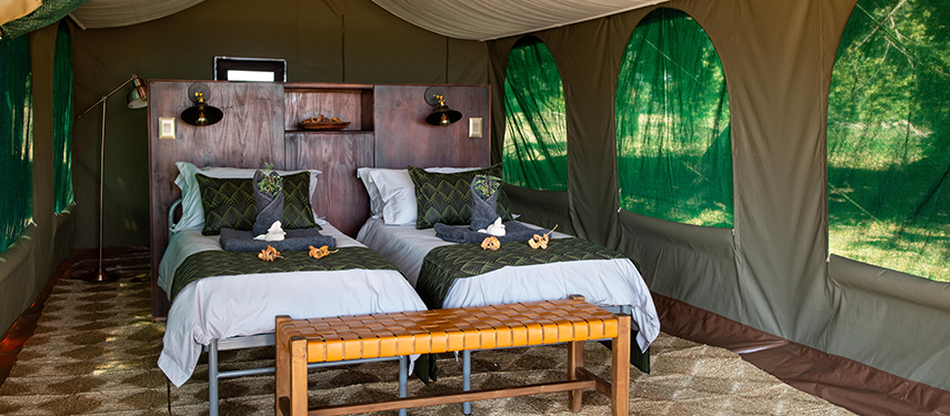 Twin beds with elegant bedding are set inside a canvas tent, blending comfort with rustic safari style.