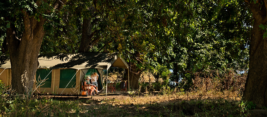 A guest relaxes outside their canvas tent, shaded beneath towering trees in the lush riverine forest.