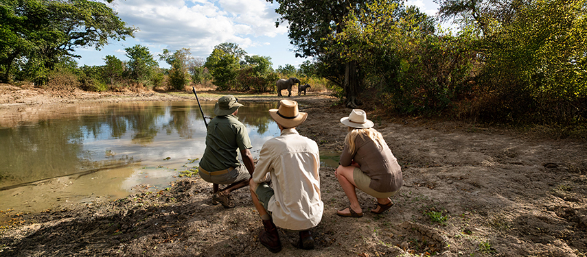 A safari guide and two guests crouch by a waterhole, watching elephants across the water in a peaceful moment.