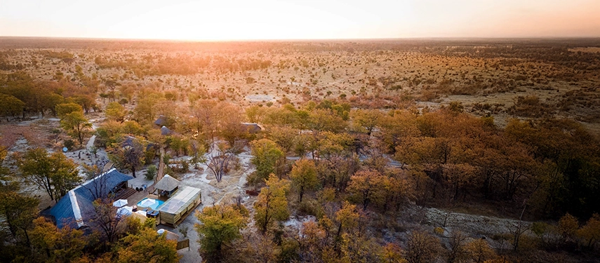 Aerial view of Mankwe Tented Retreat surrounded by golden woodland