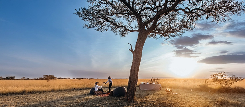 Private sundowner experience at Mara Expedition Camp in Kenya, with guests enjoying drinks beneath an acacia tree as the sun sets over the Maasai Mara.