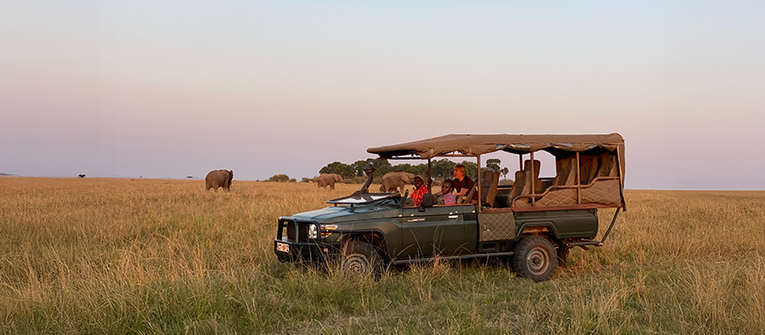 A safari vehicle with guests observing elephants at dusk on the open plains.