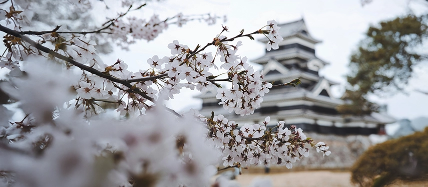 Matsumoto Castle viewed across its surrounding moat, emphasising its striking black exterior and mountain setting.