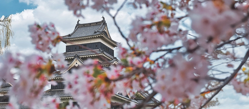 Another perspective of Matsumoto Castle showcasing layered roofs and stone foundations against a dramatic sky.