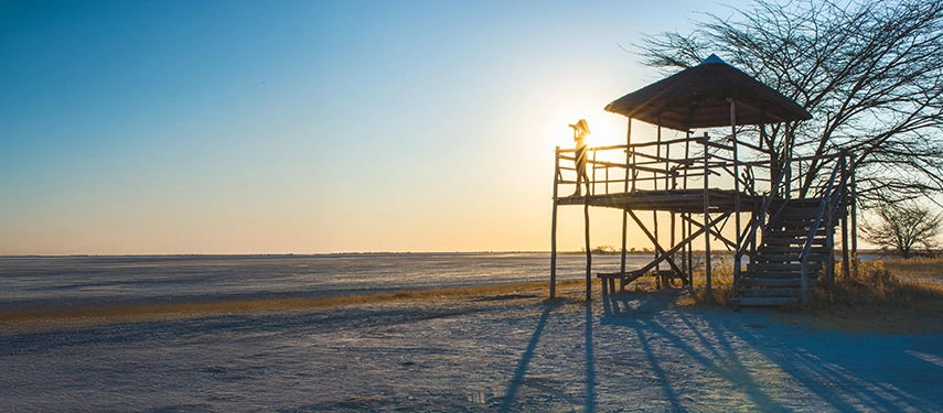 Viewing deck overlooking salt pans at Nata Lodge during sunrise