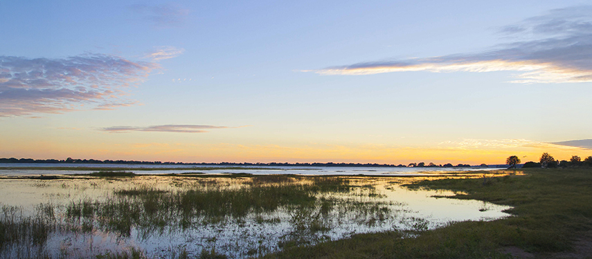 Early morning light reflects over the floodplains of the Chobe River, with a peaceful sky overhead.