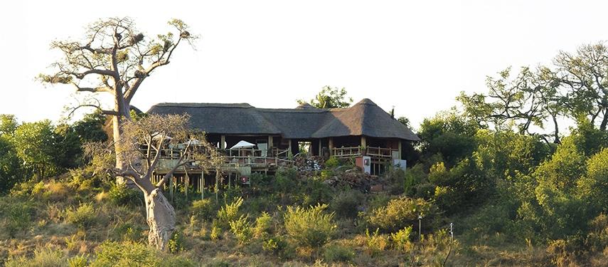 A view of Ngoma Safari Lodge surrounded by lush greenery and baobab trees, perched on a hillside.