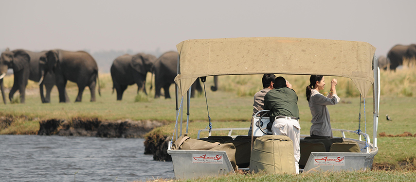 Two guests on a Chobe River boat cruise photographing a herd of elephants grazing at the water’s edge.