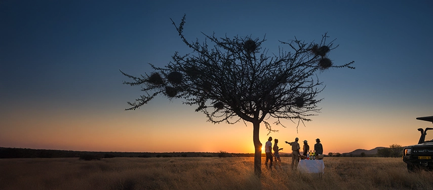 Guests enjoying sundowners beneath a sociable weaver nest-laden tree at Ongava Game Reserve as the sun sets over the savannah.