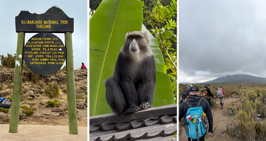 Hiker with turquoise backpack trekking across rocky alpine terrain on Mount Kilimanjaro’s Lemosho Route beneath a bright blue sky.