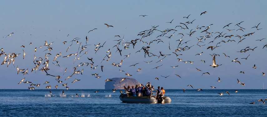 Guests exploring coastal wildlife by panga boat near the Hermes Galápagos Mega Catamaran.