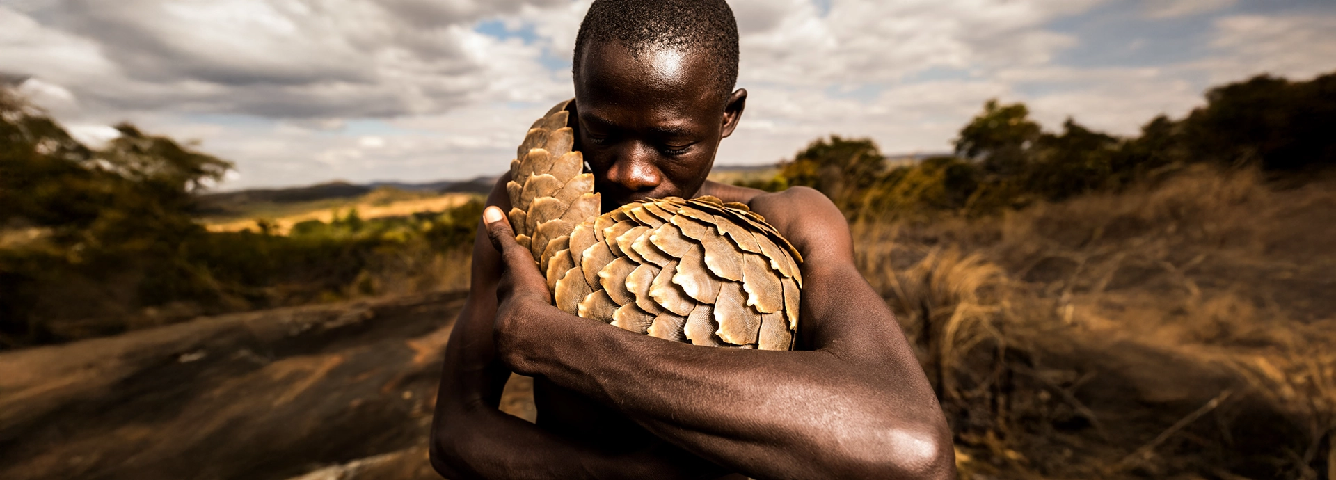 Conservation statistics on customer night stays at Londolozi, South Africa
