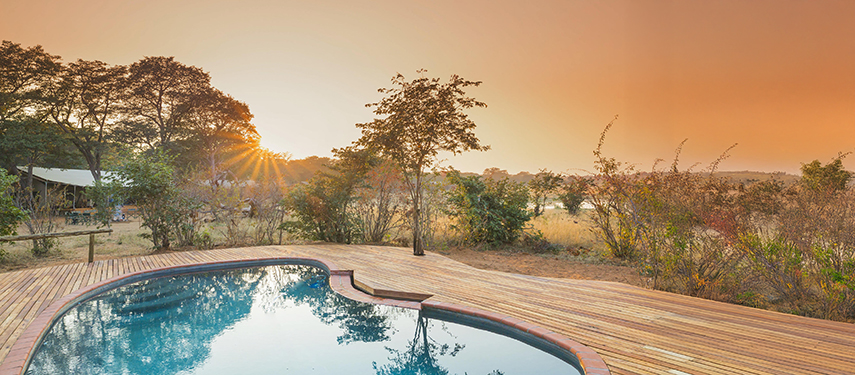 Wooden deck with loungers and a curved pool overlooking the bushveld at sunrise at Verney’s Camp.