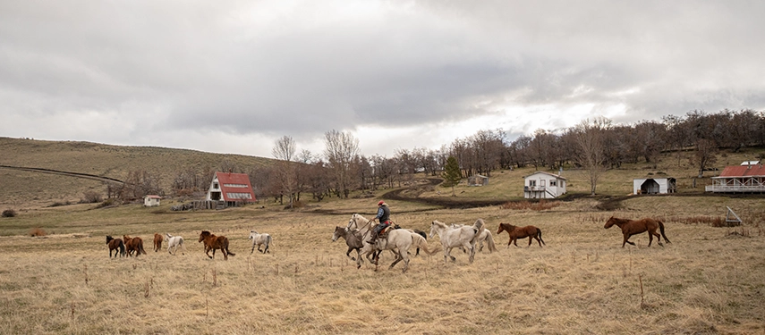A gaucho rides across a grassy paddock driving a herd of horses, with traditional Patagonian farmsteads scattered in the background.