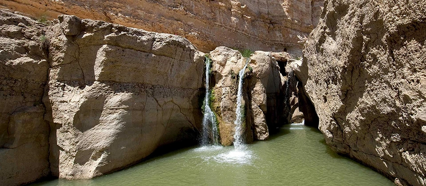 A hidden desert pool with a waterfall flowing into a rocky gorge near Douz.