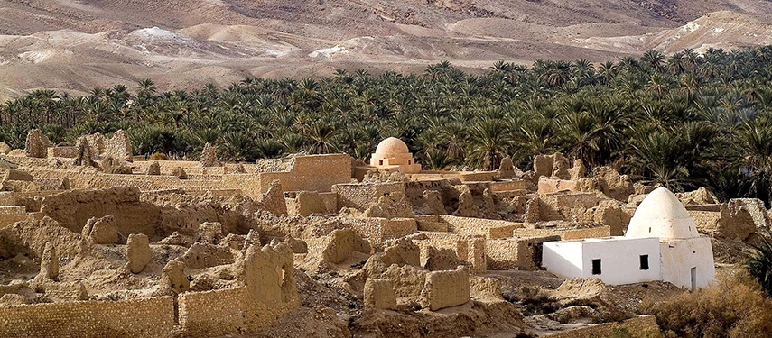 Ruins of a traditional desert village surrounded by a dense palm grove at the edge of the Sahara.