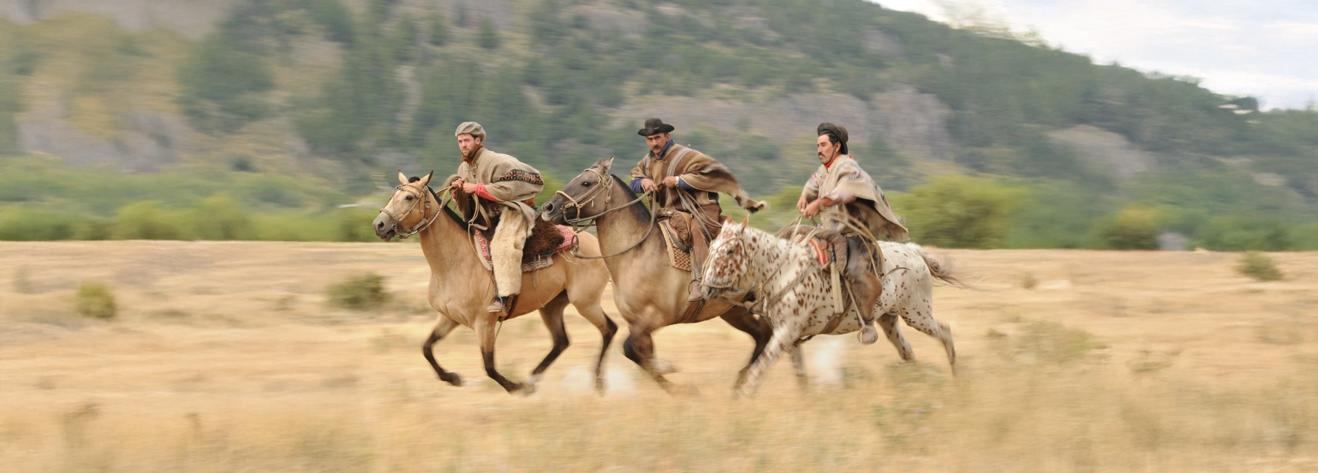 Three gauchos ride on horseback through the pampas of Patagonia, Argentina