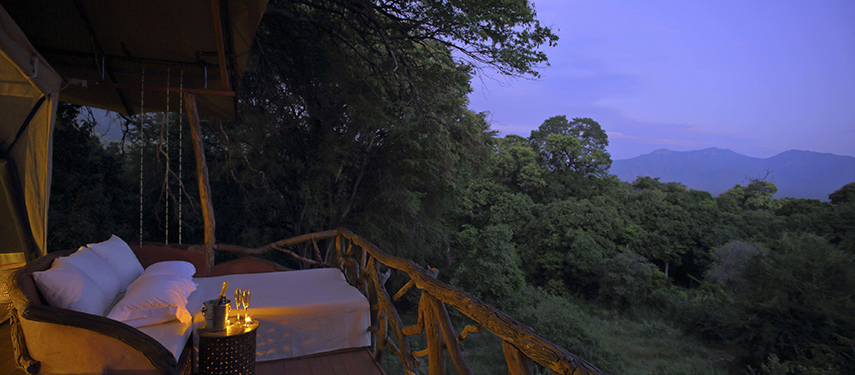 A twilight view from a treehouse deck with a cosy daybed, overlooking the lush forest and distant mountains of the Mathews Range.