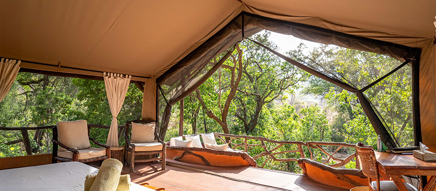 A bright, spacious treehouse suite with canvas walls, wooden floors, and a wraparound deck gazing into the forest canopy.