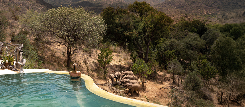 A guest relaxing in a natural rock-edged pool while a herd of elephants drinks from a waterhole just below.