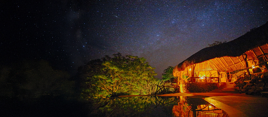 An expansive forest view from a treehouse deck, showcasing lush foliage and soft morning sunlight filtering through the trees.