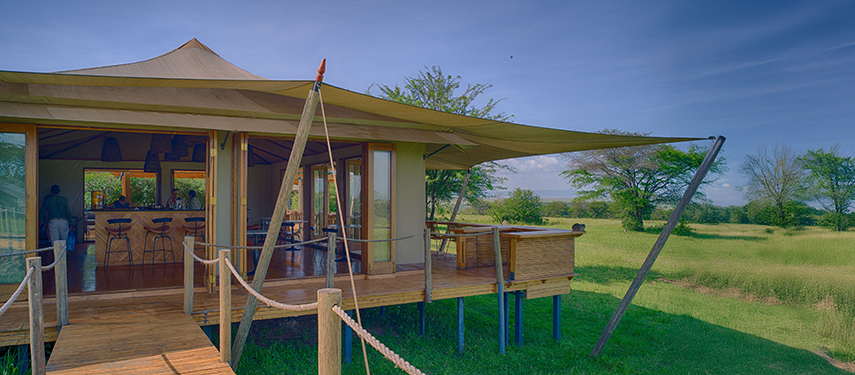 View Into The Bar of the Very First Microbrewery In The Serengeti at Sayari Camp