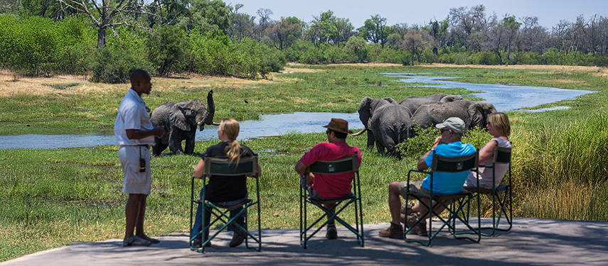 Guests relax in a shaded outdoor seating area with views across a river where a herd of elephants is gathered nearby.