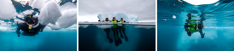 People swimming in drysuits amongst icebergs on their Antartica Holidays
