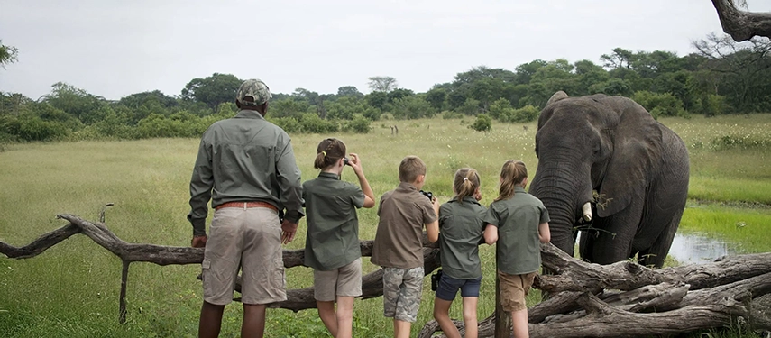 Young safari guests watch an elephant alongside a guide as part of the Ngawa Kids Club at Somalisa Acacia in Zimbabwe.
