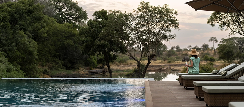 A guest relaxing on a sun lounger by the infinity pool, looking out over the Timbavati wilderness.