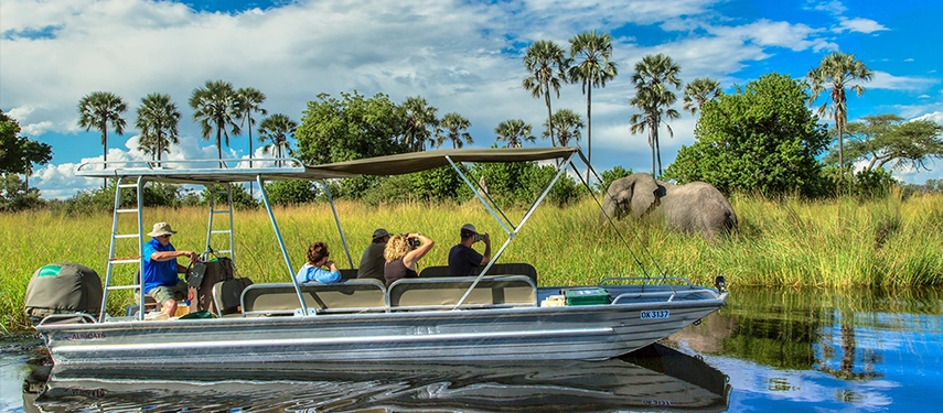 Guided boat safari near elephants in lush delta landscape